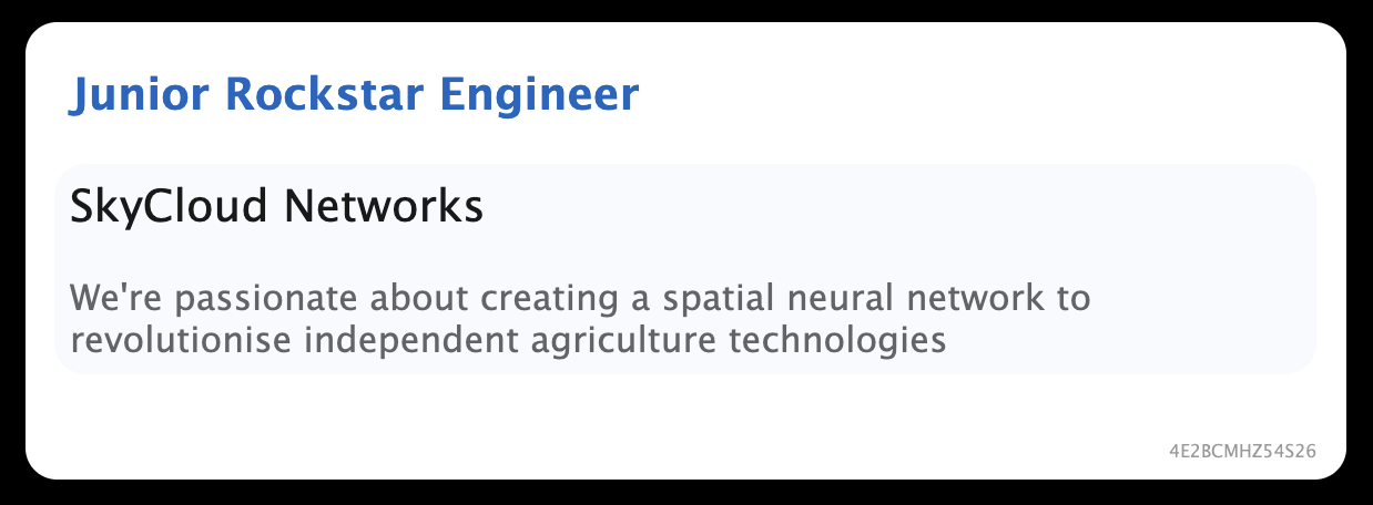 Junior Rockstar Engineer at SkyCloud Networks